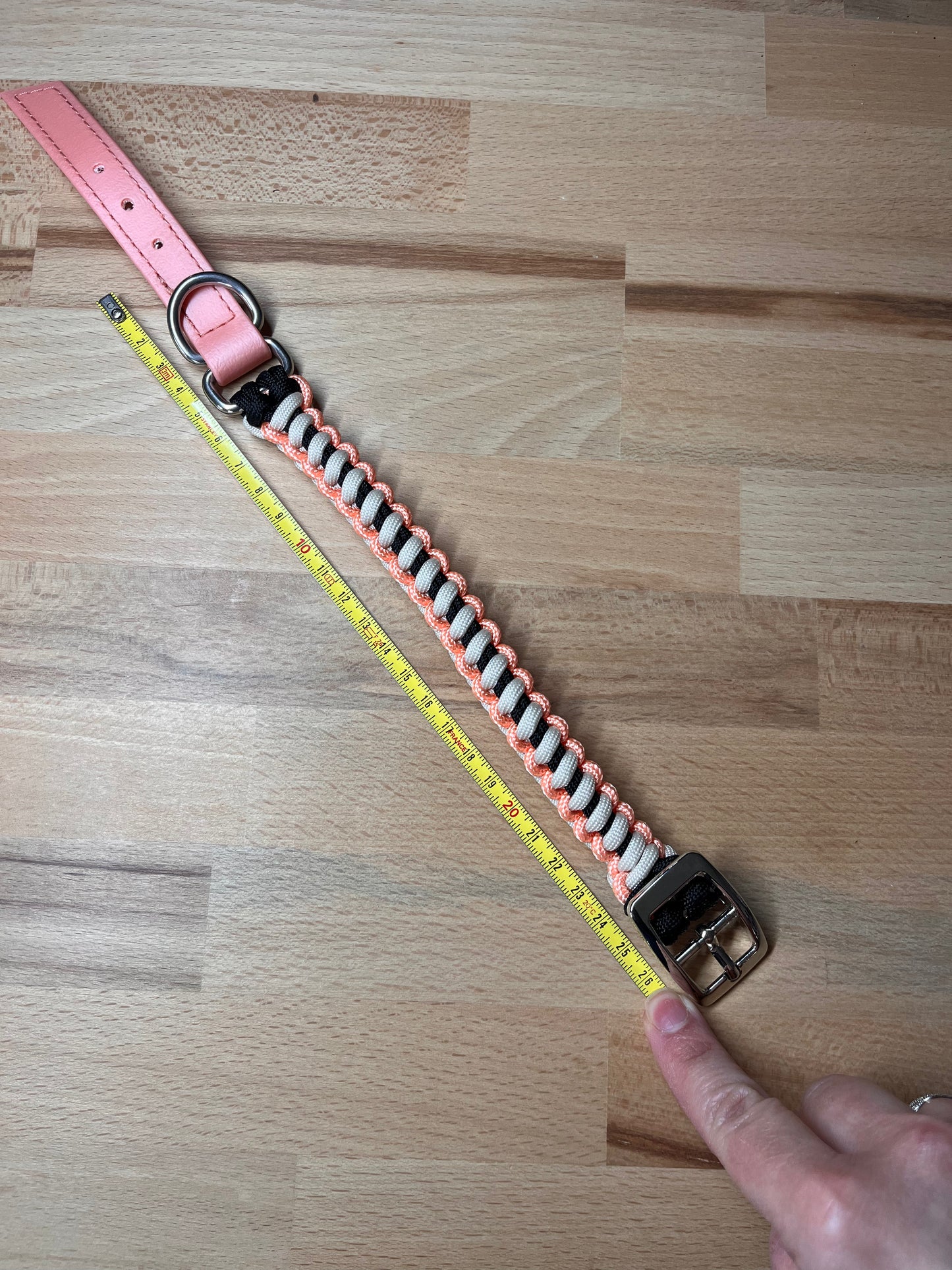 Collier pour chien en paracorde