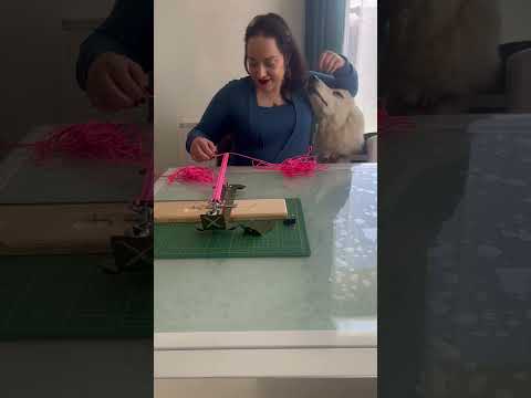fabrication laisse pour chien en paracorde noire er rose réalisée à la main 
